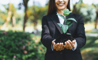 Asian businesswoman holding plant as concept of eco company committed to corporate social...