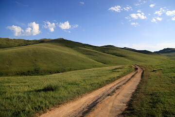 Fototapeta na wymiar The Mongolian steppe near Ulaanbaatar