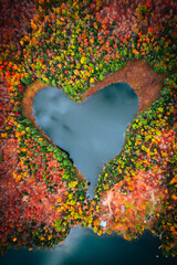 Top-down view of Heart Lake Amidst Autumn Splendor- Ompah, Ontario