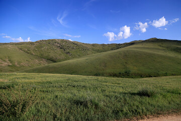 The Mongolian steppe near Ulaanbaatar