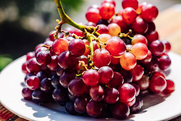 Close up bunch of bright red brown juicy ripe grapes berries, healthy sweet fruits, sunny mood, vitamins healthy food