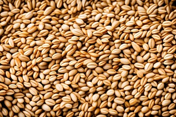 Fototapeta premium wheat grain background