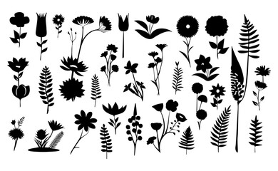 Plants, flowers, leaves silhouette set isolated vector illustration