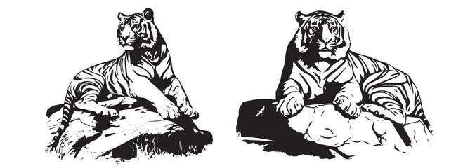 Fototapeta na wymiar Tiger head, black and white vector, silhouette shapes illustration