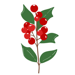 Holly berry 