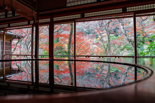 autumn leaves in kyoto © 理信 庄司