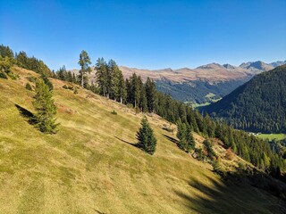 Obraz premium Beautiful autumn landscape in the Davos mountains. Colorful nature in the Graubünden Alps. Wanderlust. High quality photo
