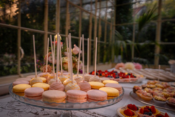 easter cake with eggs