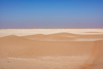 Small golden desert dunes with undulating sand and a limestone expanse on the horizon. Oman.