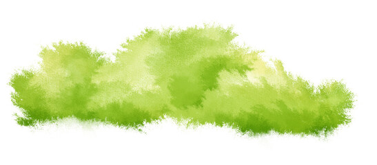 Watercolor Bush