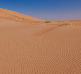Fototapeta na wymiar Expanse of vertically undulating red sand of the Rub al Khali Desert. Oman