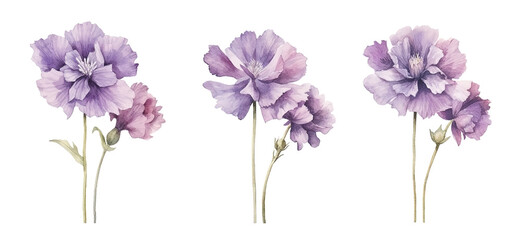 watercolor flowers, a set of illustrations in handmade watercolor style on a white background, generative ai