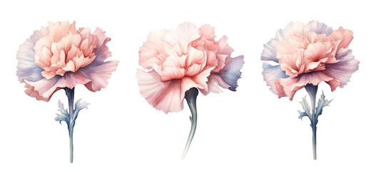 watercolor flowers, a set of illustrations in handmade watercolor style on a white background, generative ai