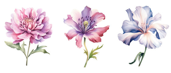 watercolor flowers, a set of illustrations in handmade watercolor style on a white background, generative ai