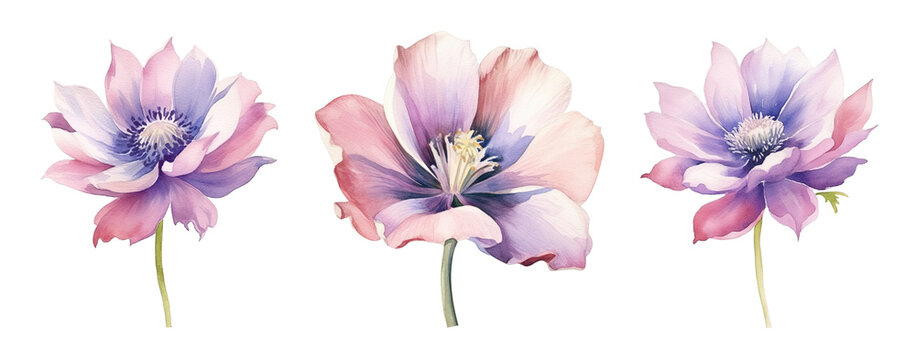 watercolor flowers, a set of illustrations in handmade watercolor style on a white background, generative ai