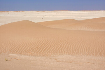 Small cross desert dunes golden on the horizon limestone expanse.