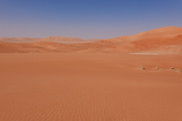 Fototapeta na wymiar Panoramic view of the Rub Al Khali desert with red colour and blue sky. Oman.