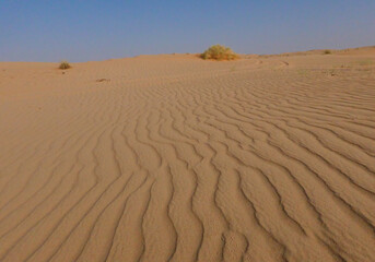 Macro of the golden desert sand with vertical wavy lines.