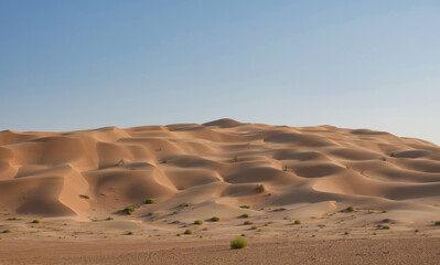 Large golden dune in the Rub Al Khali desert with undulating sand lines against a backdrop of blue...