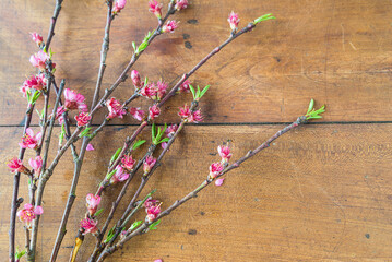 Obraz premium Bouquet of peach twig with pink flowers on the vintage wooden background; copy space