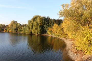 Fototapeta premium A body of water with trees and a blue sky