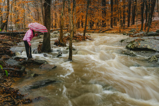 A young girl in a pink jacket and umbrella leans over a flooding creek in the rain
