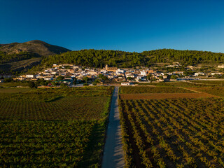The vineyards fields in Lliber village, Costa Blanca, Spain - stock photo