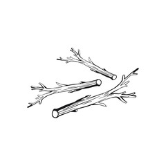 Vector line art of stem twig