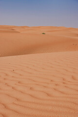Valleys of desert dunes with waves of orange sand. Oman.