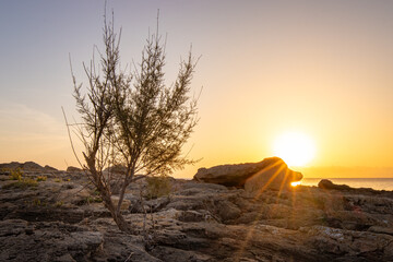 Felsenkürste im Süden von Mallorca zu Sonnenaufgang
