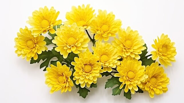 Yellow flowers of buttercup on white background. AI generated image