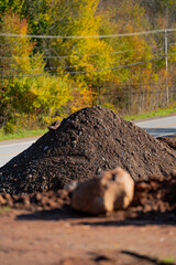 Pile of dirt in construction