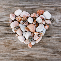 Heart made of beach stones and sea shells in pastel colors