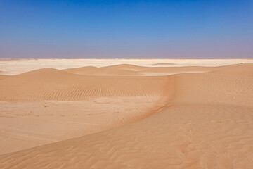 Fototapeta na wymiar Small golden curivilinear desert dunes with undulating sand and a limestone expanse. Oman.