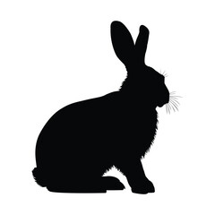 Rabbit Silhouette on White Background