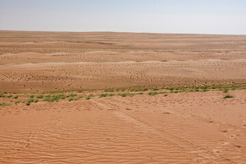 Overhead view of the Wahiba sand desert composed of small dunes and small grass bushes.