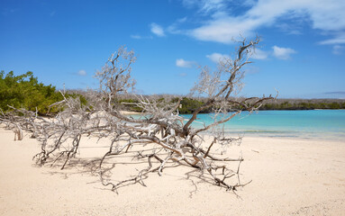 Beach on a beautiful uninhabited island, Galapagos Islands, Ecuador.