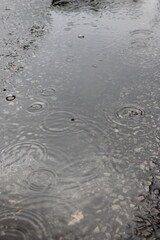 Puddle of water on a road with rain drops rippling off surface
