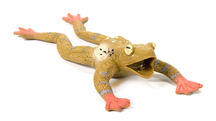 Closeup of rubber frog toy on white background.
