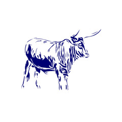 line sketch of a bull for elements of making logos and symbols as well as elements of advertisements and brochures