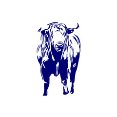 line sketch of a bull for elements of making logos and symbols as well as elements of advertisements and brochures
