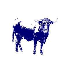 line sketch of a bull for elements of making logos and symbols as well as elements of advertisements and brochures
