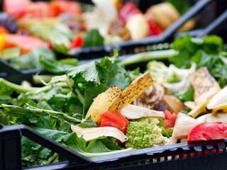 Expired Organic bio waste. Mix Vegetables and fruits in a huge container, in a rubbish bin. Heap of Compost from vegetables or food for animals.