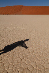 Shadow on cracked desert earth 