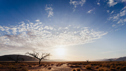 sunset in the Namib desert