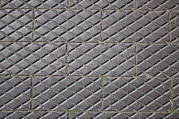 Brick path with black textured bricks with engraved diamond pattern shapes