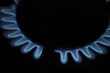 Close up of lit gas hob on high setting, blue gas flame visible