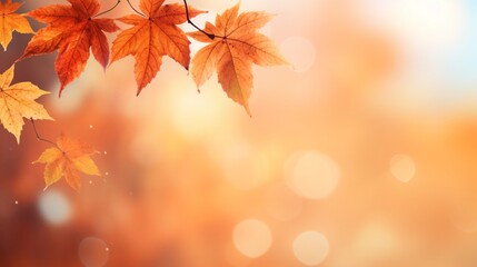 Naklejka na ściany i meble autumn leaves on the tree of copy space
