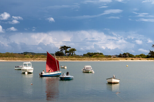 Riantec Images Browse 70 Stock Photos, Vectors, and Video Adobe Stock