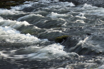 Raging flow of water through the sunken logs of a destroyed dam